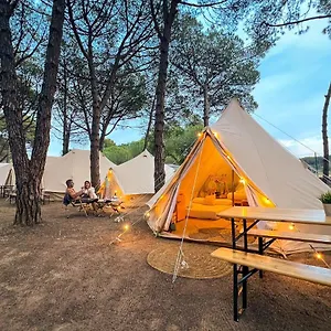 Kampaoh Internacional Palamos
